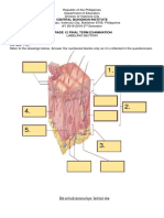 Central Bukidnon Institute: For Nos. 1-37