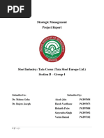 Strategic Management Project Report