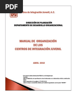 CIJ Manual de Organización