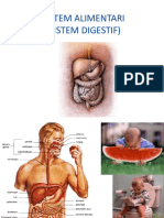 Sistem Alimentari Part1