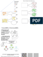 1º Basico Composición y Descomposición de Números