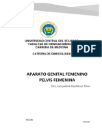 1 Aparato Genital Femenino + Pelvimetria