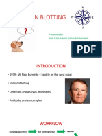 Western Blot Lab Presentation