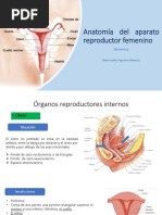 Aparato Reproductor Femenino Obstetricia