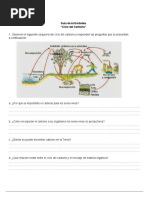 Clase 1 Guiadeactividades - Ciclodelcarbono