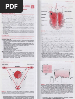 Electrocardiografía Básica PDF