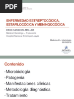 Enfermedad Estreptocócica, Estafilocócica y Meningocócica PDF