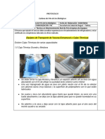 Protocolos Mantenimiento Cajas Termicas