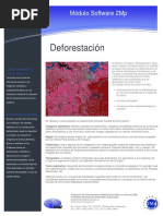 056 - Guía Descriptiva - Deforestación PDF