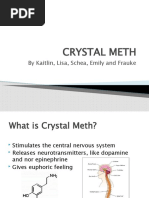 Crystal Meth: by Kaitlin, Lisa, Schea, Emily and Frauke