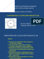 1 PrincipiosClonacion (2016) PDF