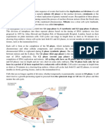 Cell Cycle