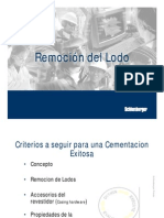 09 - Remoción Del Lodo