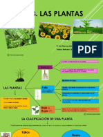 Unidad 3 Las Plantas