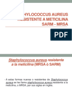 CASO CLÍNICO Staphylococcus Aureus