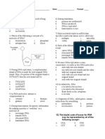 DNA and RNA Quiz