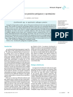 Pátogenos y Oportunistas PDF