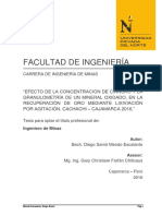 Tesis de Oro PDF