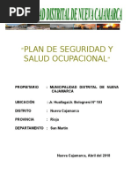 Plan de Seguridad y Salud en El Trabajo