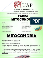 Mitocondrias