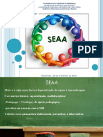 Apresentação Do Soe, Seaa 2019