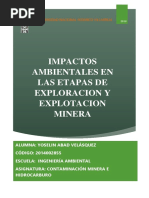 Impactos Ambientales - Yoselin Abad