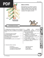 Biologia 6to-Mayo 4