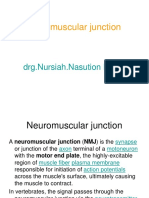 Neuro Muscular Junction NN