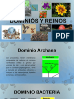 Dominiós y Reinos