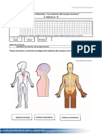 Guia Ciencias Naturales Identificar Sistemas y Organos. 2° Básico