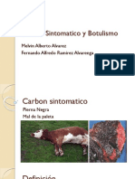 Carbon Sintomatico y Botulismo