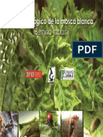 Control Biologico Mosca Blanca PDF