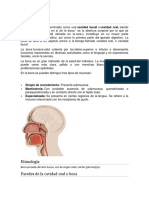 Folleto Aparato Digestivo