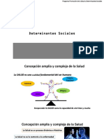 Determinantes Sociales en Salud