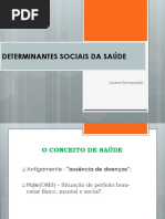 Determinantes Sociais Da Saúde