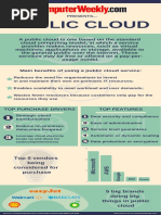 Infographic - Public Cloud PDF