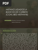 Metano Ligados A Bancos de Carbón (Coal Bed Methane)