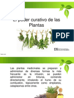 Charla Plantas