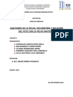 Anatomía de La Pelvis, Pelvimetria Relación Feto Pelvis