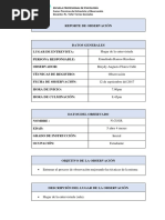 Reporte de Observación