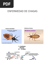 Enfermedad Chagas