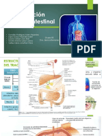 Trastornos de La Función Gastrointestinal