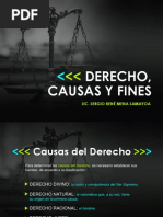 Causas y Fines Del Derecho