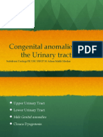 K25 - A - Congenital Anomalies of The Urinary Tract