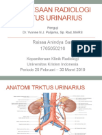 Pemeriksaan Radiologi Traktus Urinarius - Raissa Anindya Sari 1765050216