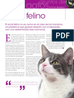 Acné Felino