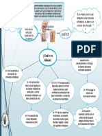 Mapa Mental MS