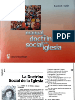 Manual DSI PDF