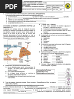 Actividad en Clase N°1. Sistema Eendocrino