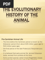 The Evolutionary History of The Animal